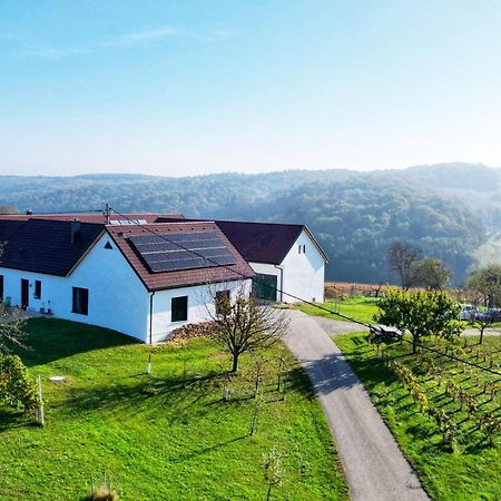 Kaeferberghof Im Burgenland, Komfortzimmer Mit Fruehstueck, Bed & Breakfast, Urlaub Am Bauernhof Eltendorf Ngoại thất bức ảnh
